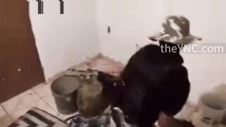 Classic: CJNG Executions With Machetes And Axes