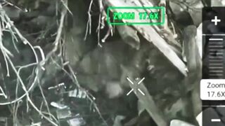 Global Whore | Ukraine War | Vaporized Russians XCIV Compilation 02 11 2025 Archive