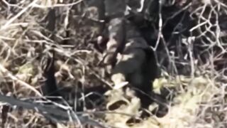 Global Whore | Ukraine War | Vaporized Russians XCIV Compilation 02 11 2025 Archive