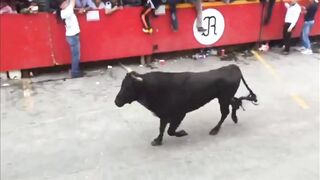 Classic: Man vs Bulls