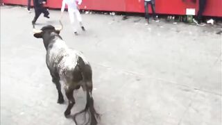 Classic: Man vs Bulls
