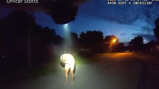 Naked Man Shot Dead by Louisville Officer After Street Confrontation