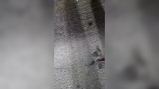 Driver Lost His Life and  Hand