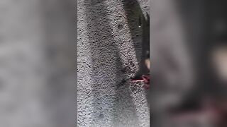 Driver Lost His Life and  Hand