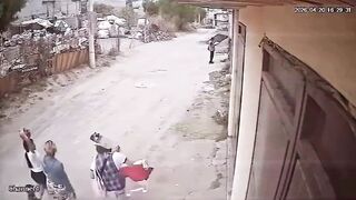 Bizarre Moment Rooftop Pug Drops Onto Woman's Head