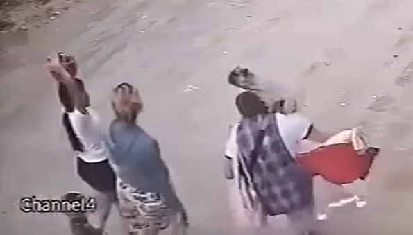 Bizarre Moment Rooftop Pug Drops Onto Woman's Head