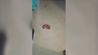 Gruesome Execution Leaves Alleged Cultist Headless