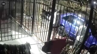Woman Lures Man to the Door — Gunmen Unleash Deadly Hail of Bullets