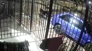 Woman Lures Man to the Door — Gunmen Unleash Deadly Hail of Bullets