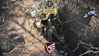 Global Whore | Fuckers on the Wrong Side of the Border |  Vaporized Russians Comp 20
