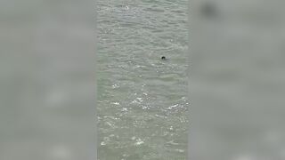 Young Man Drowns as Botched Rescue Unfolds at Kut Dam