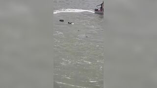 Young Man Drowns as Botched Rescue Unfolds at Kut Dam