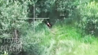 Ukr Red Skull gets droned.