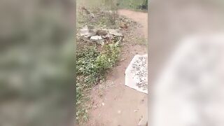 Gunmen Entered Nigerian Village And Slaughtered Unarmed Civilians
