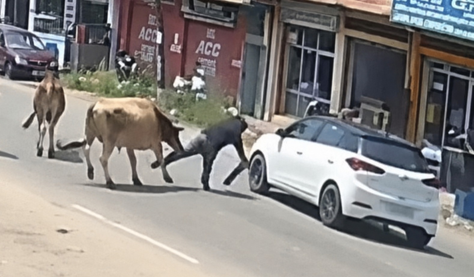 Rampaging Bull Triggers Freak Accident, Leaving Man Critically Hurt