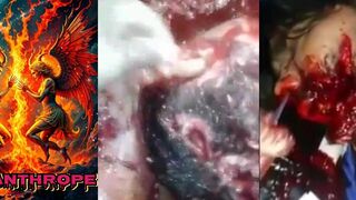 Gore Compilation