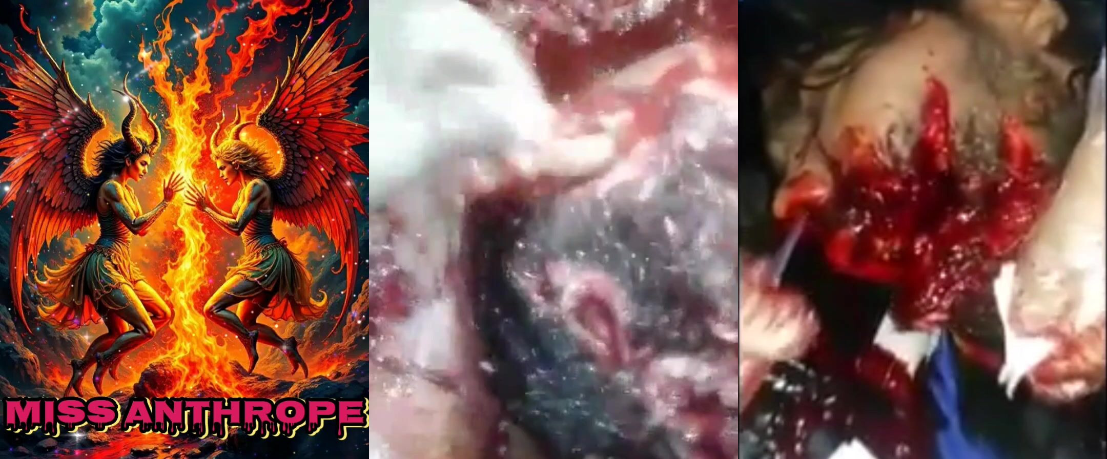 Gore Compilation 18
