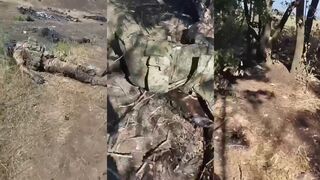 Dead ruzzians along the road - 25+ corpses