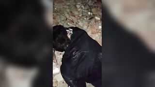 Rival Gang Members Interrogated and Executed on Camera