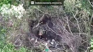 Ukrat surrenders -> gets headshot.