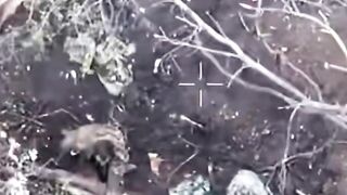 Ukrat surrenders -> gets headshot.