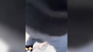 Fight between two young women
