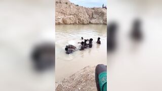 Woman Drowned In Abandoned Mining Pit In Ghana
