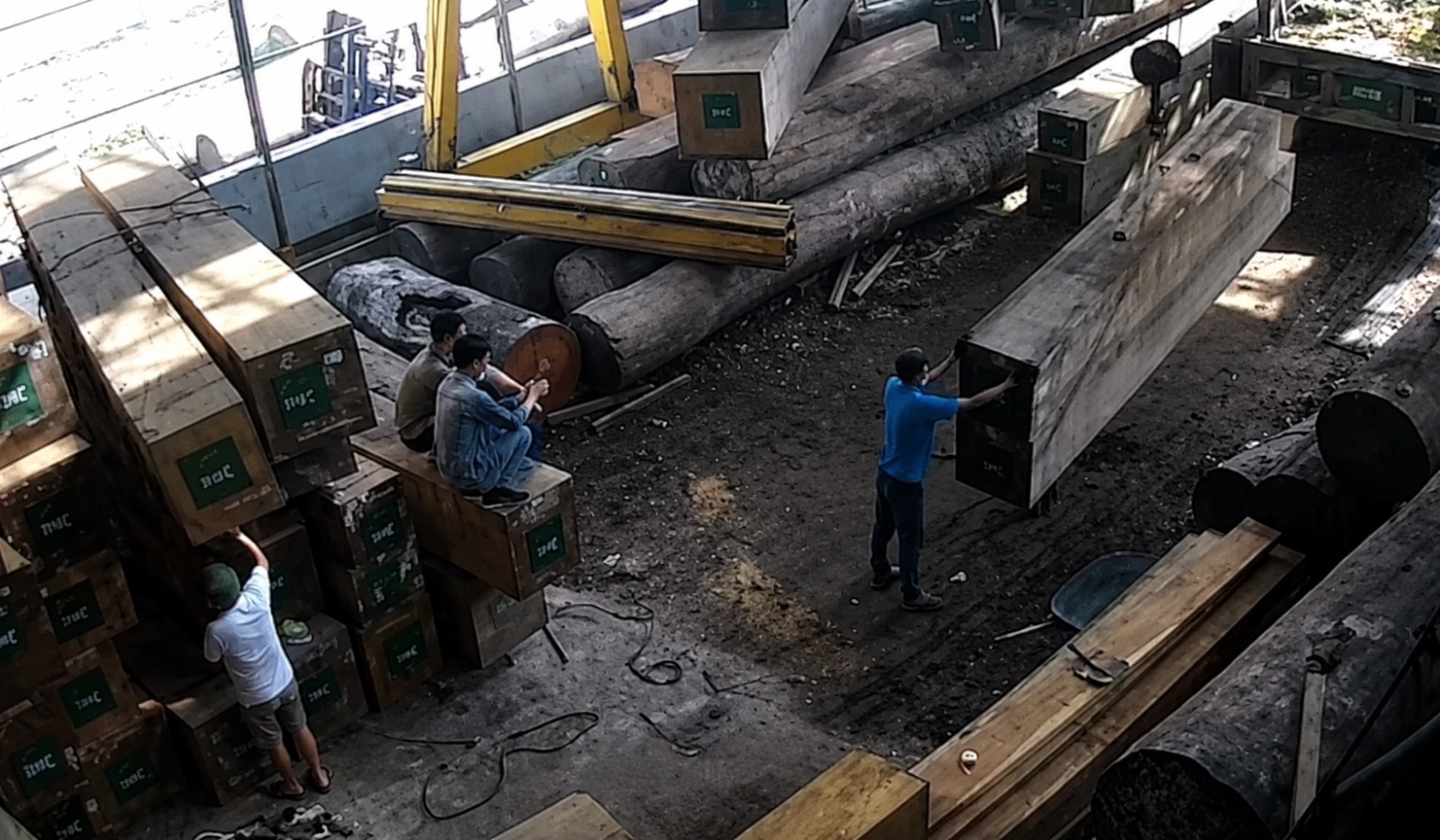 Sawmill Worker Crushed to Death by Falling Timber Stack