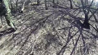 Blowing up of a Ukrainian separatist in 2014