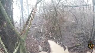 Elimination of a Russian soldier in the 'green zone' (forest belt)