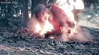 Death 'n' shit compilation 9