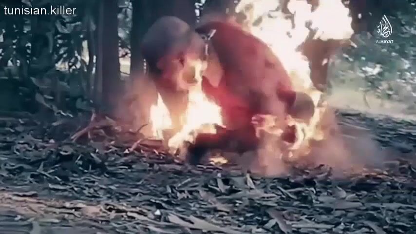 Death 'n' shit compilation 9