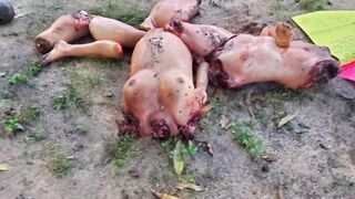 Two women dismembered and decapitated