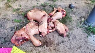 Two women dismembered and decapitated
