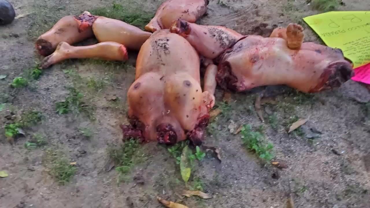 Two women dismembered and decapitated