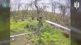 Dozens dead Russhits by Alpha.