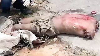 Parts of a dismembered man's body