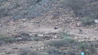 15 minute compilation of "Enemy Visible" combat.