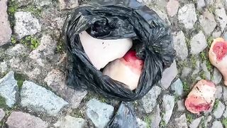 Woman's body dismembered in garbage bags