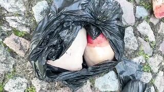 Woman's body dismembered in garbage bags