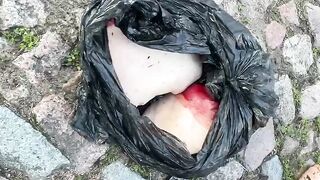 Woman's body dismembered in garbage bags