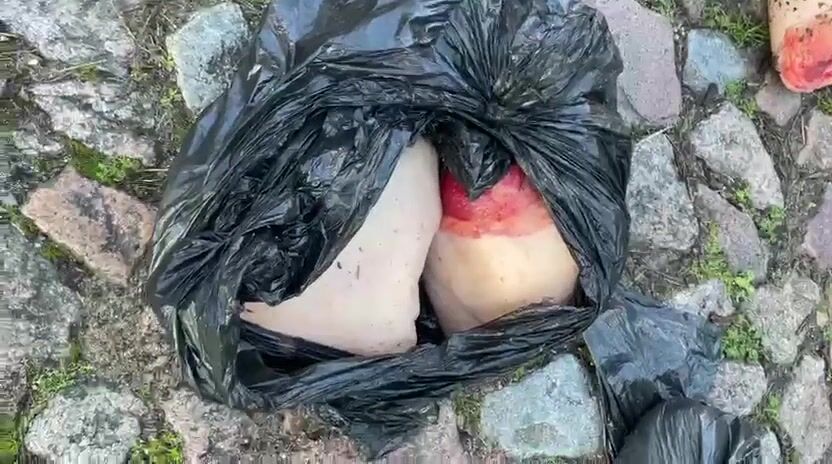 Woman's body dismembered in garbage bags