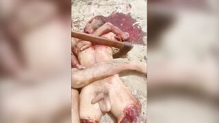 Rapist dismembered (quartered)
