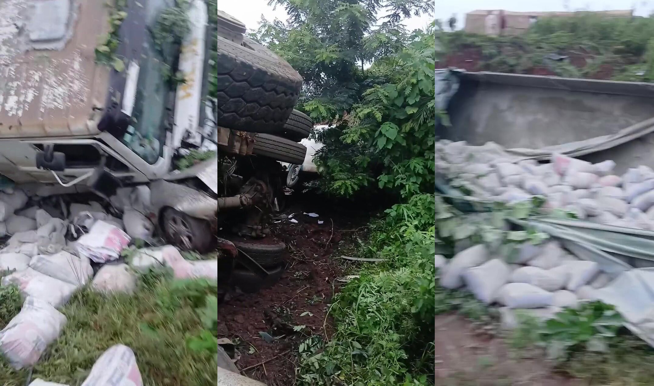 Multiple people lose their lives when truck  runs off road