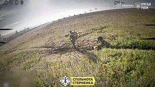 Russian Birdbrains Repeatedly Killed in Chokepoint Trap