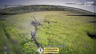 Russian Birdbrains Repeatedly Killed in Chokepoint Trap