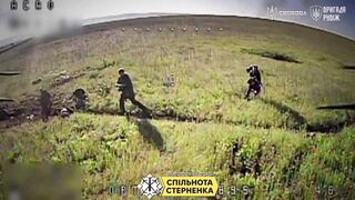 Russian Birdbrains Repeatedly Killed in Chokepoint Trap