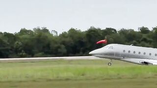 Two Killed In Private Jet Crash In Dominican Republic