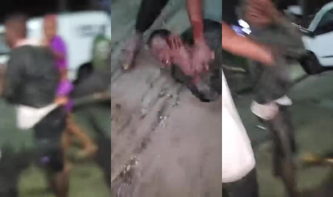 Thief beat with sticks and hit over head with bottle