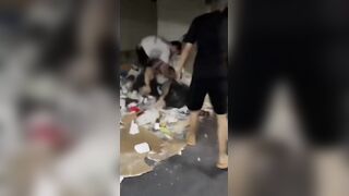 Tik Toker Attacked And Beaten In A Parking Garage In China